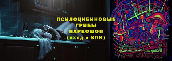 ПСИЛОЦИБИНОВЫЕ ГРИБЫ Абдулино