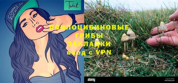 ПСИЛОЦИБИНОВЫЕ ГРИБЫ Абдулино