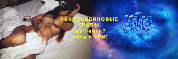 индика Абаза
