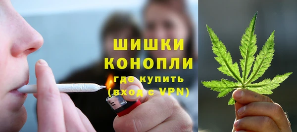 индика Абаза