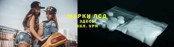 индика Абаза