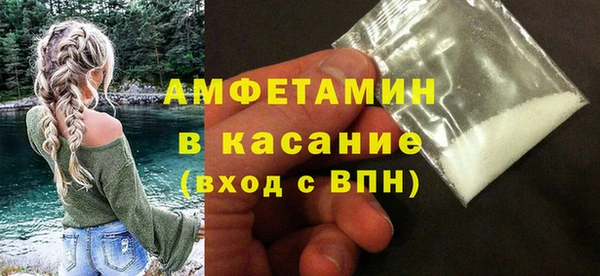 дживик Няндома