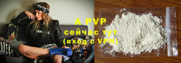 индика Абаза