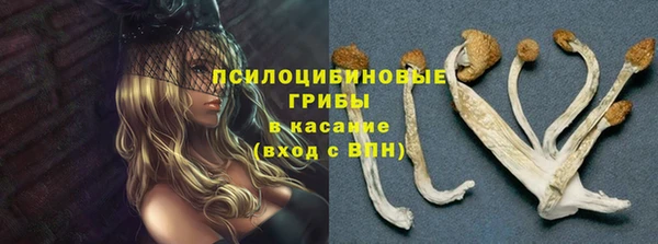 2c-b Абинск