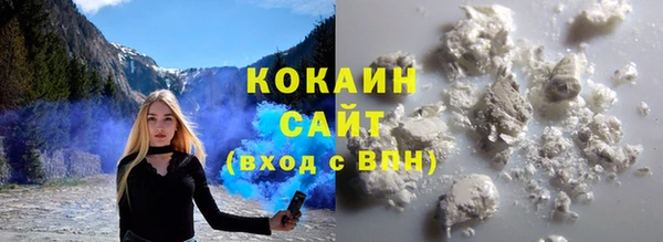 индика Абаза