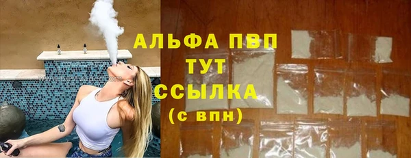 индика Абаза